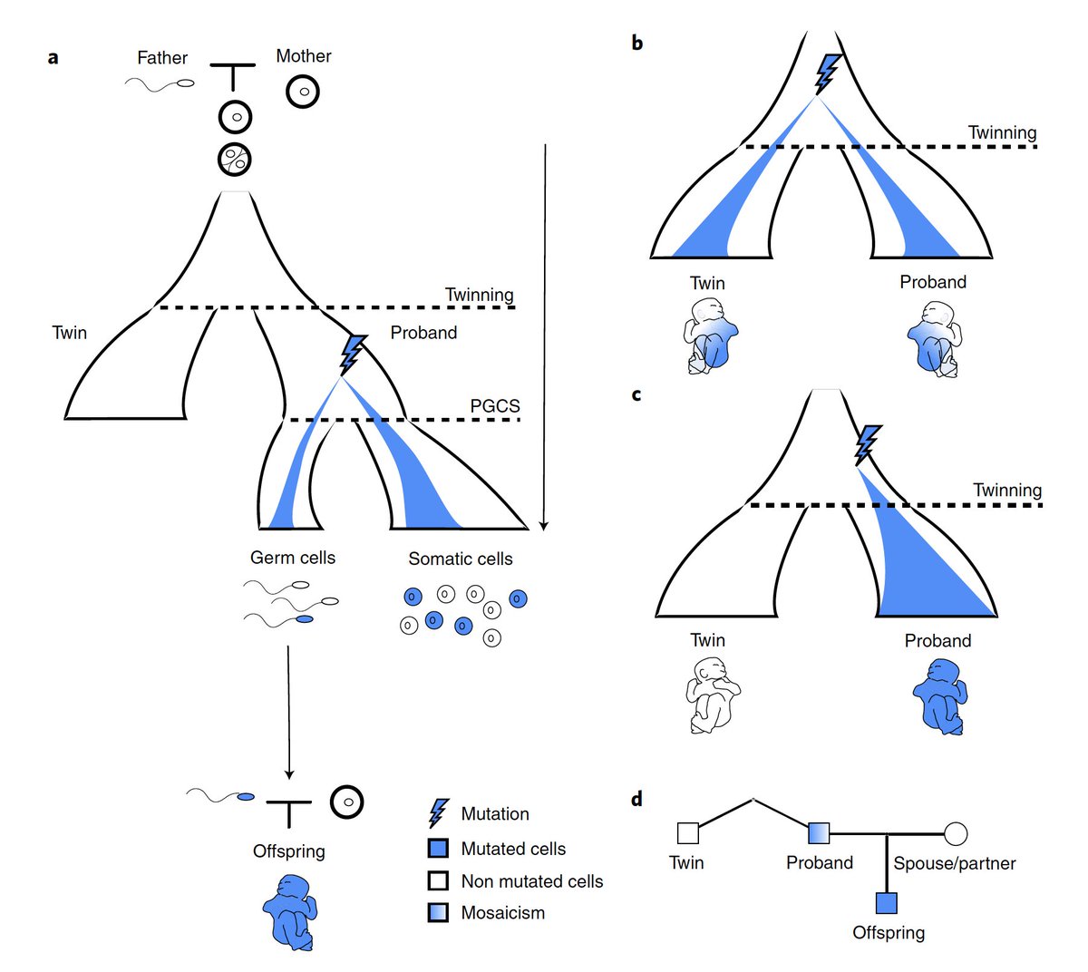 Eric Topol (@erictopol) on Twitter photo There is no such thing as identical twins.
We knew before there were epigenomic differences.
Now we know there are genome differences
15% of MZ twins w/ early developmental mutations
Just published <a href="/NatureGenet/">Nature Genetics</a> nature.com/articles/s4158… There is no such thing as identical twins.
We knew before there were epigenomic differences.
Now we know there are genome differences
15% of MZ twins w/ early developmental mutations
Just published <a href="/NatureGenet/">Nature Genetics</a> nature.com/articles/s4158…