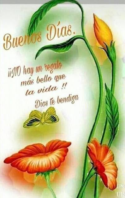 alesina_4's tweet photo. @Lux_becerril https://t.co/CJk3QSCvzG