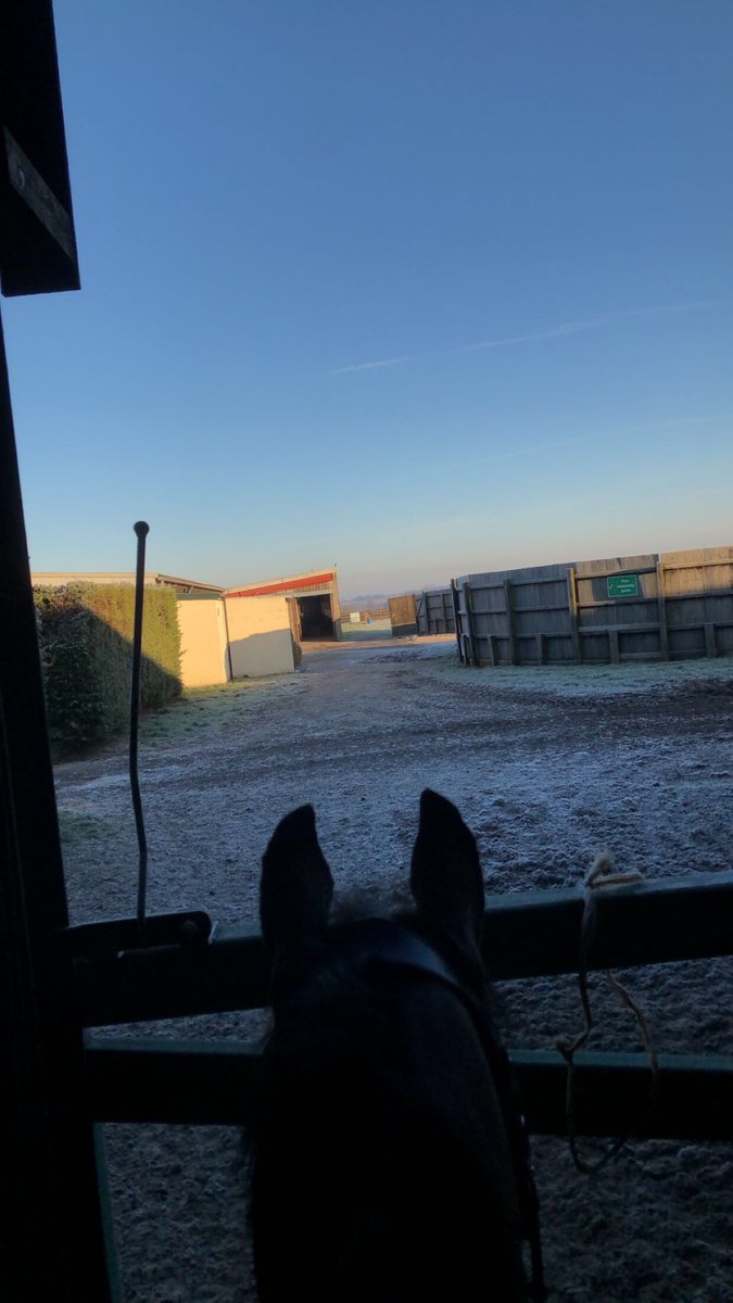 lauren frost eventing tweet media