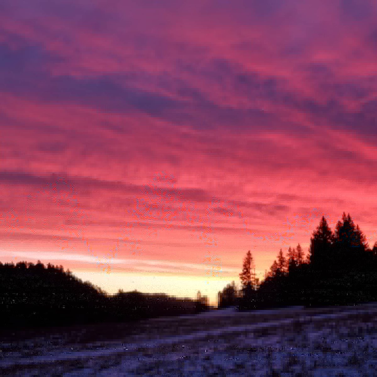 akolquist's tweet photo. Beautiful #Colorado #sunrise 
@9NEWS 
@theWXwoman 
@KathySabine9 
#milehighmornings https://t.co/sR2XyiQOIv