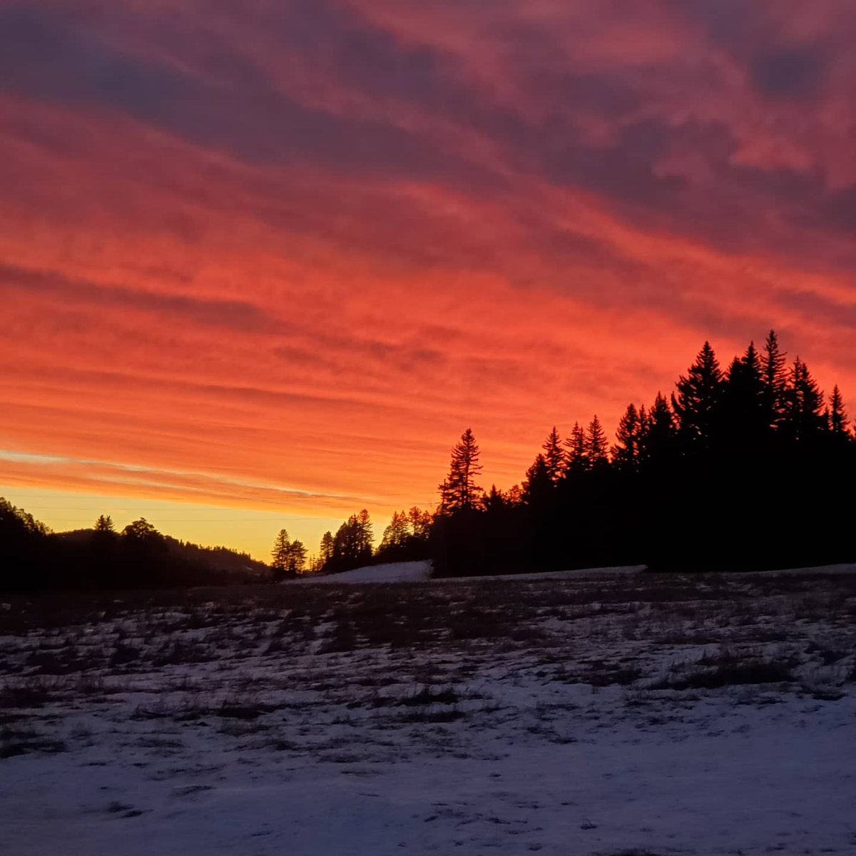akolquist's tweet photo. Beautiful #Colorado #sunrise 
@9NEWS 
@theWXwoman 
@KathySabine9 
#milehighmornings https://t.co/sR2XyiQOIv
