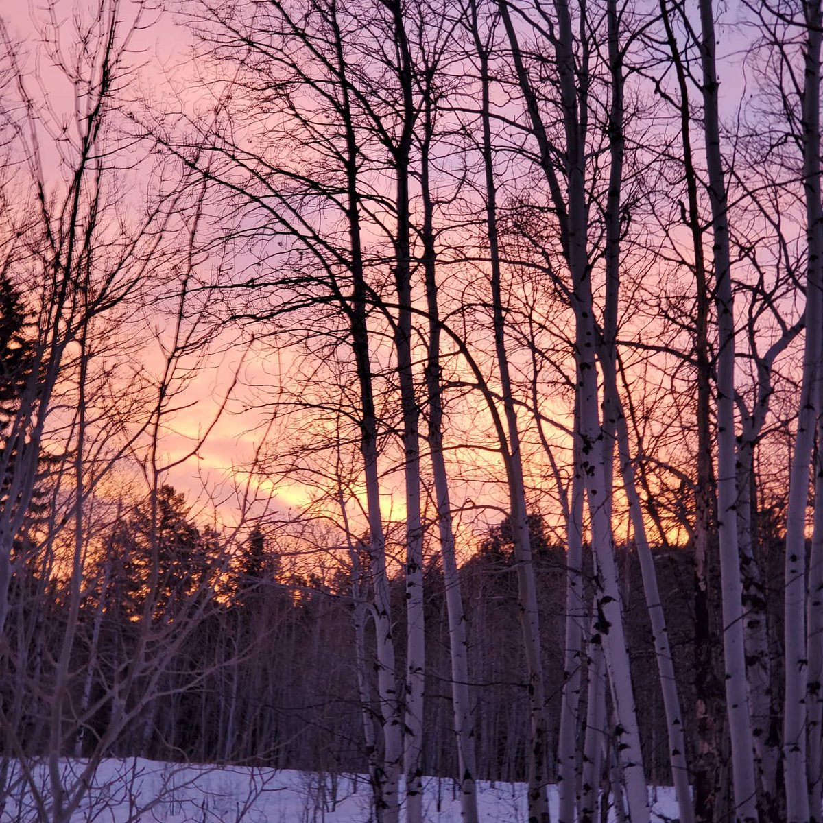 akolquist's tweet photo. Beautiful #Colorado #sunrise 
@9NEWS 
@theWXwoman 
@KathySabine9 
#milehighmornings https://t.co/sR2XyiQOIv