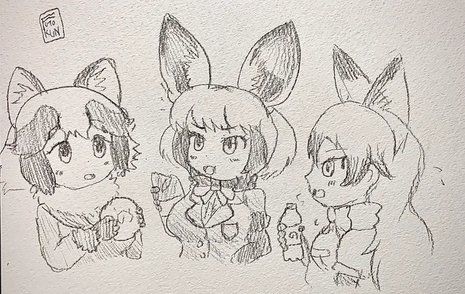 たぬ・きつねきつね 