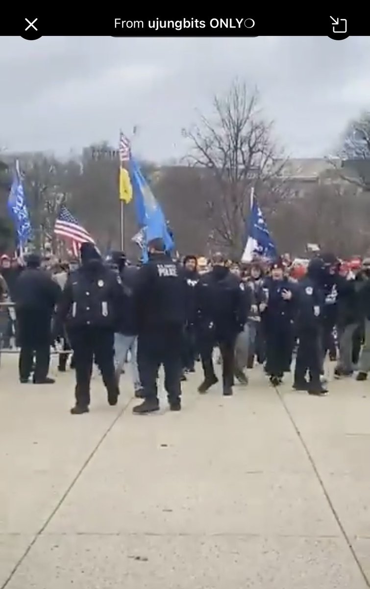 I'm focused on the US Capitol Police who opened the gates & let the mob in. Any IDs? Add'l photos or video?