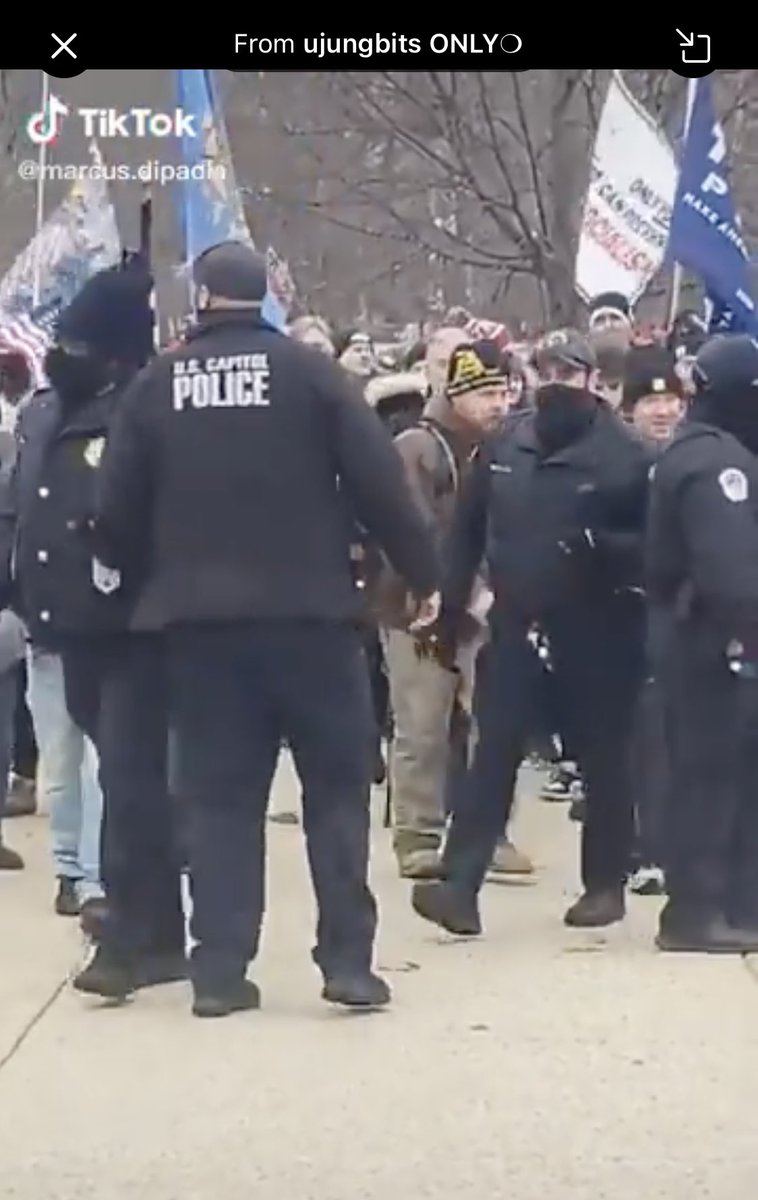 I'm focused on the US Capitol Police who opened the gates & let the mob in. Any IDs? Add'l photos or video?