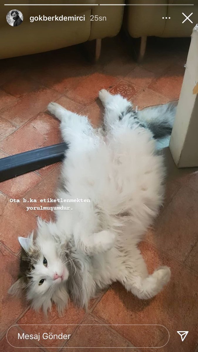 Yaklaşık 3 senedir tanıyoruz biz bu adamı aklımızın hayalimizin alamadığı şeyleri gördük yine sustu  sabretti ama artık yeterrr....nefretinizi ,kininizi başka yerde kusun Gökberkten ve ailesinden uzak durun artık.