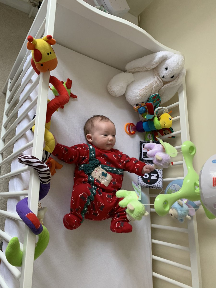 2020-2021 is definitely not all bad. Best addition to our family ever!! 😍