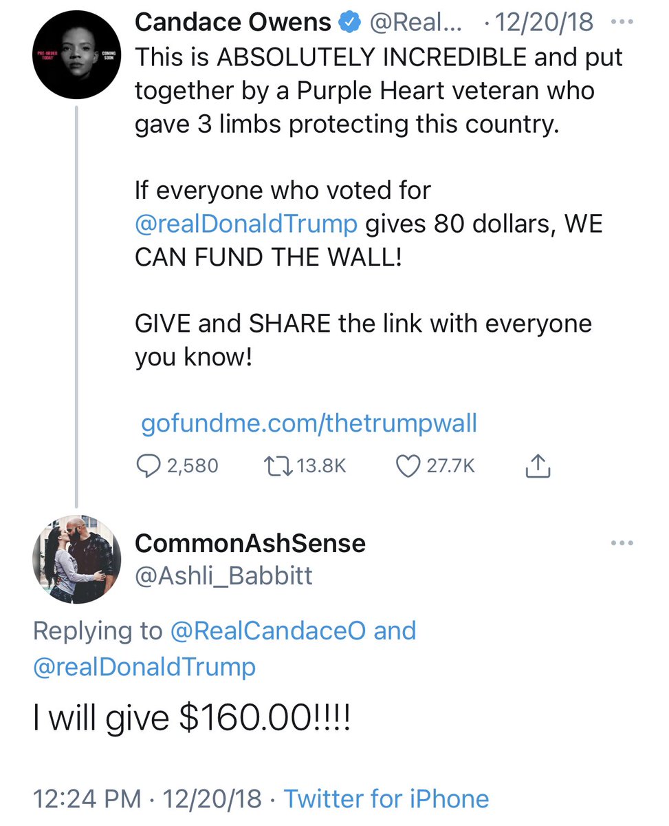 Ashli Babbitt once gave $160 to the fake Build The Wall scam pushed by Candace Owens and other MAGA grifters.