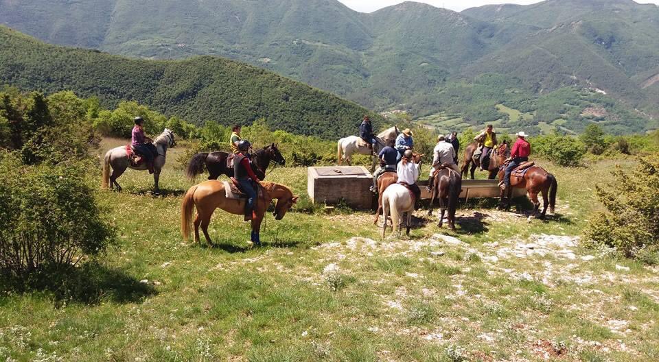 InfoLasomma's tweet photo. Here at La Somma, we are celebrating the New Year with an action-packed programme of horse-riding holidays for 2021!
UMBRIAN ADVENTURE
3-10 April; 24 April-1 May; 29 May-5 June; 26June-3 July; 10-17 July; 24-31; 7-14 August; 21-28 August;11-18 September, 2-9 October;16-23 October https://t.co/FRzeBLGdjP