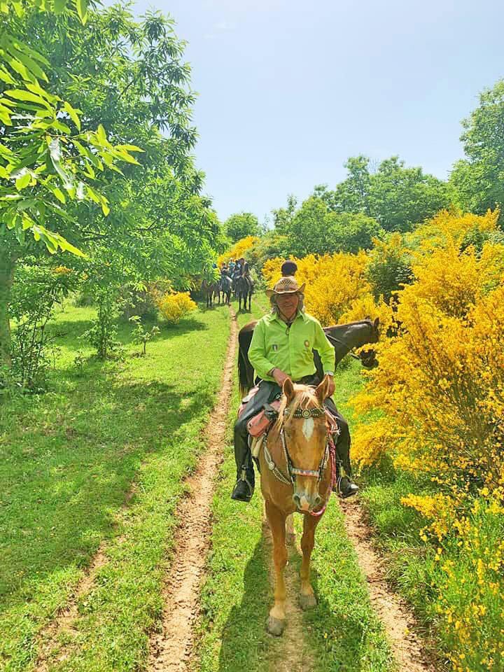 InfoLasomma's tweet photo. Here at La Somma, we are celebrating the New Year with an action-packed programme of horse-riding holidays for 2021!
UMBRIAN ADVENTURE
3-10 April; 24 April-1 May; 29 May-5 June; 26June-3 July; 10-17 July; 24-31; 7-14 August; 21-28 August;11-18 September, 2-9 October;16-23 October https://t.co/FRzeBLGdjP