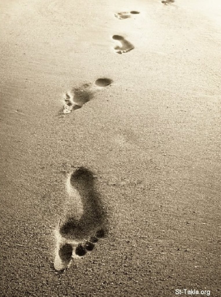 أجوبُ بِيداً
بعرضِ الأرضِ أشربُ منْ
سرابِها خمرةً أطفي بها عطشي !!

وأقتفي لصفيرِ الرّيحِ ، أسبحُ في
هسيسِها طاوياً ضلعي
على طفَشي !!

وأستعيرُ منَ
النّجمِ الذي ضحكتْ
بهِ الظّنونُ سناً  أُُضني بهِ غَبشي !!

مازلتُ أجترحُ الذّنبَ الذي انتعشتْ
بهِ الصّحارى بقلبٍ غيرِ
منتعشِ !!