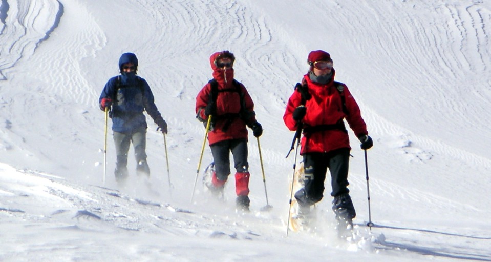 guhekoleon's tweet photo. es tiempo de.. RAQUETAS DE NIEVE❄️⛄️

Rutas en exclusiva solo para ir con quien tu quieras y cuando quieras‼‼

Más información 👇👇
https://t.co/LCztWg1biE…/Raquetas_de_nieve_en_Leon_23 https://t.co/6bmJYtvmQO