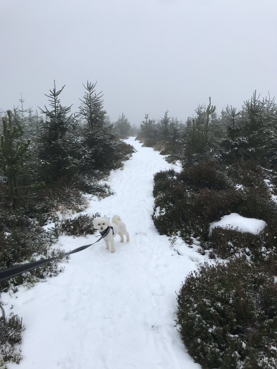 IrishRunningGir's tweet photo. Snowball fight in #Featherbeds and a run back down the mountain
All within my 5k https://t.co/rQc7DkF3lj