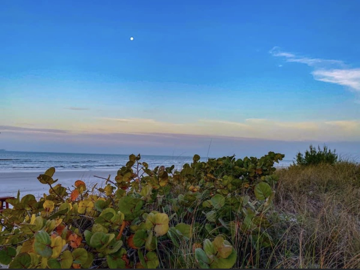 Gulfside Resorts tweet media