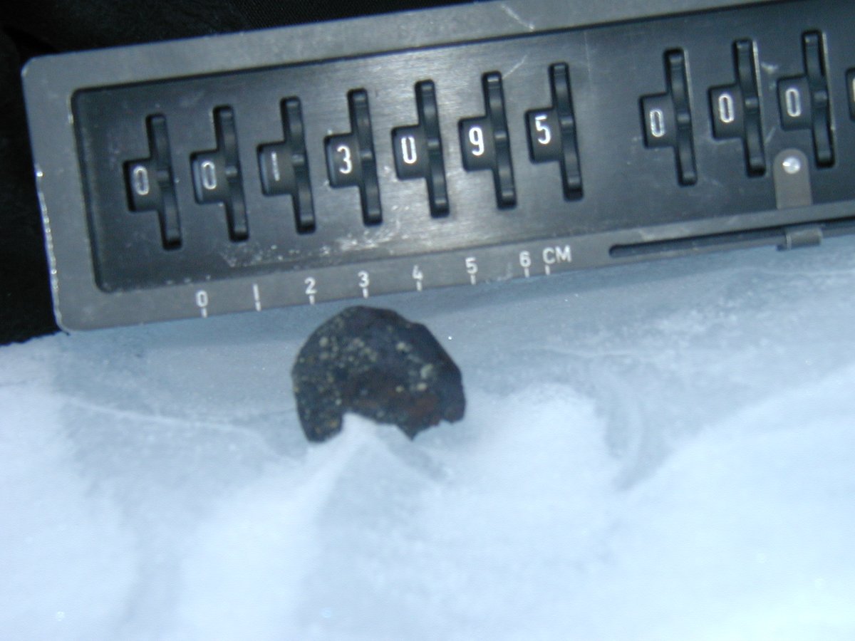 Two lovely paired CV3 chondrites, MET00429 and MET00430, found by  #ANSMET2000 team on January 3 and Jan 9, 2001, respectively