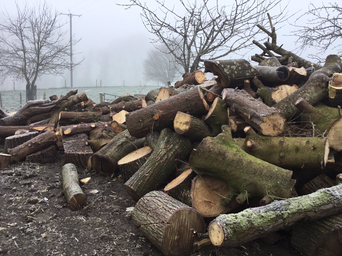 snap_forest's tweet photo. Morning log collection aka leg day! Getting some Lime and Spruce over to @snapcorsham for their outdoor play. Let’s see what we make of it! #outdoorlearning #snapforest #snapfrostiest https://t.co/i83RtLNOCd