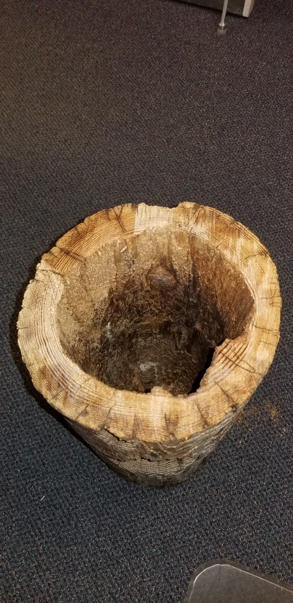 SnoPUD's tweet photo. Another pesky woodpecker!๐ฆ #TeamPUD crews recently replaced a pole where a woodpecker had been doing some residential development. Check out this section of the damaged pole! Mickโs crew out of our #Snohomish Office responded and replaced the damaged pole. #PublicPower #SnoPUD https://t.co/XgC72UFInv