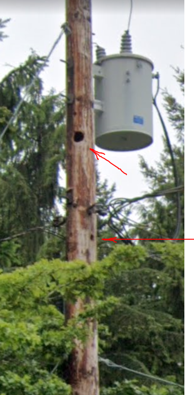 SnoPUD's tweet photo. Another pesky woodpecker!๐ฆ #TeamPUD crews recently replaced a pole where a woodpecker had been doing some residential development. Check out this section of the damaged pole! Mickโs crew out of our #Snohomish Office responded and replaced the damaged pole. #PublicPower #SnoPUD https://t.co/XgC72UFInv