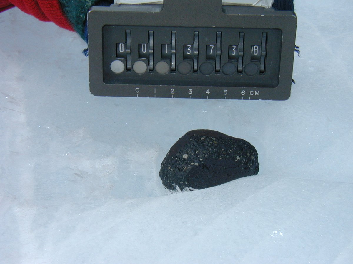 Two lovely paired CV3 chondrites, MET00429 and MET00430, found by  #ANSMET2000 team on January 3 and Jan 9, 2001, respectively