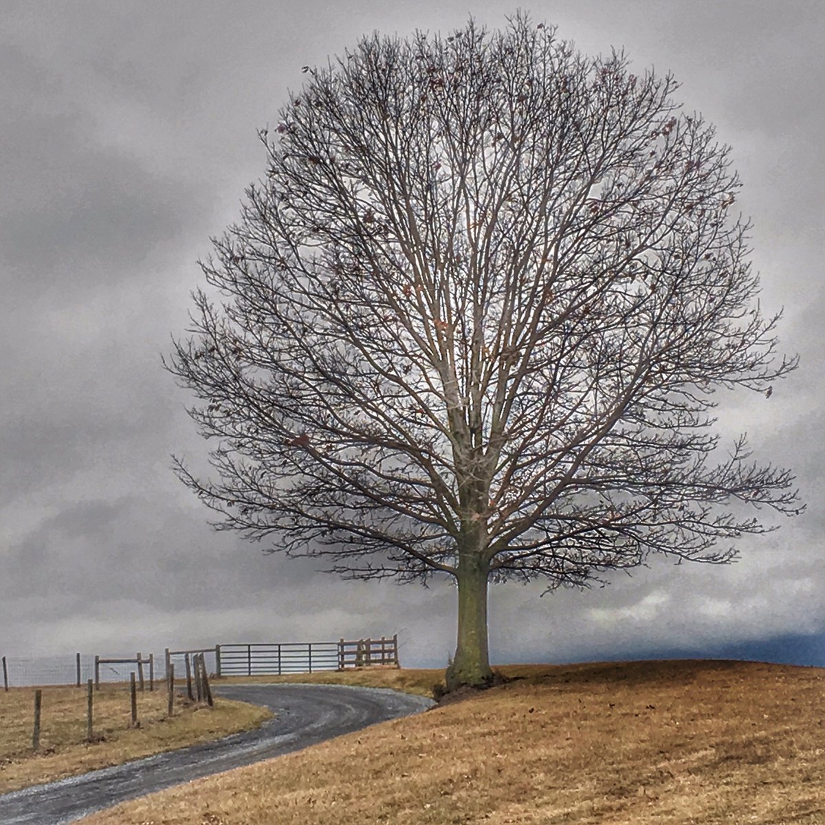 <a href="/lndeutsch/">Ellen Deutscher (she, her)</a> <a href="/atkauffman/">andrew kauffman</a> @Curiosity_Films <a href="/WickedDecent/">Dan Ryder will be presenting at ACTEM & MassCUE</a> <a href="/RACzyz/">Rich Czyz</a> <a href="/trevorabryan/">Trevor Bryan</a> <a href="/dailystem/">dailySTEM Chris Woods</a> <a href="/jsnhubbard/">Jason Hubbard</a> @AngelaStockman <a href="/JimTiffinJr/">James Tiffin Jr.</a> Love those images, Ellen! Here’s a few of my own to share ...