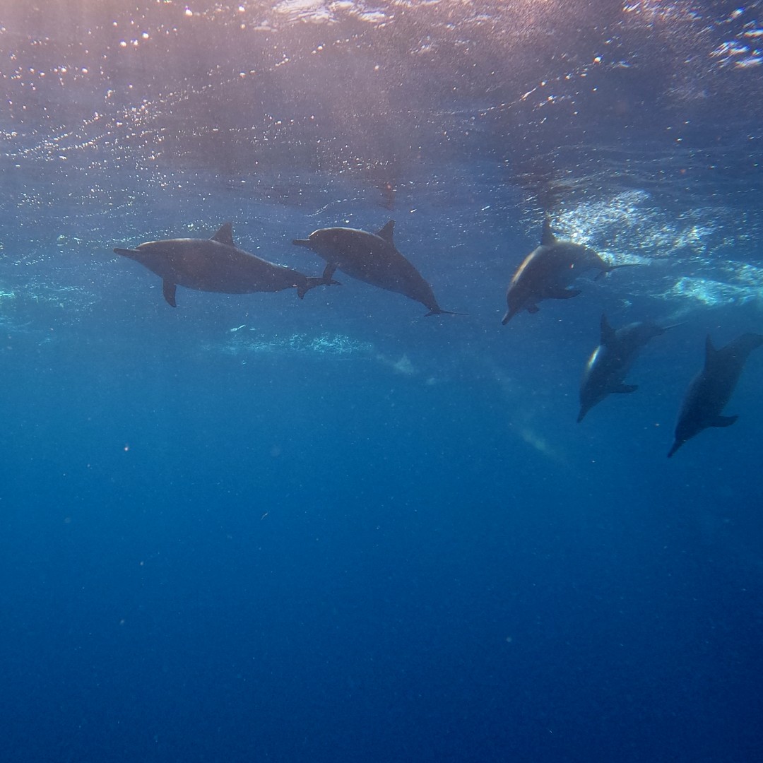 mountains2water's tweet image. I go to nature to be soothed and healed, and to have my senses put in order. —John Burroughs PC: @gogetitgal 
.
.
.#gopro #sunset #paddleboardingadventures #kayak #lake #suplifestyle #fun #explore #supyoga #waves #paddleboards #outdoors #love #getoutside #supgirl #supsurfing