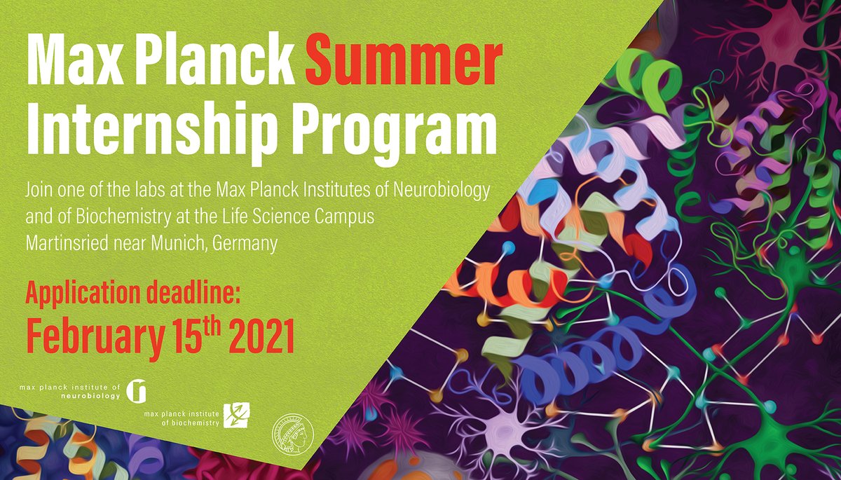 Max Planck Institute of Biochemistry (MPIB) (@mpi_biochem) on Twitter photo 📣 Internships in Munich available! 📣
The registration platform for the Max Planck Summer Internship Program <a href="/MPI_Biochem/">Max Planck Institute of Biochemistry (MPIB)</a> and @mpiNeuro is now open:
➡️ biochem.mpg.de/maxsip
#internship #biochemistry #undergrad #maxplanck 📣 Internships in Munich available! 📣
The registration platform for the Max Planck Summer Internship Program <a href="/MPI_Biochem/">Max Planck Institute of Biochemistry (MPIB)</a> and @mpiNeuro is now open:
➡️ biochem.mpg.de/maxsip
#internship #biochemistry #undergrad #maxplanck