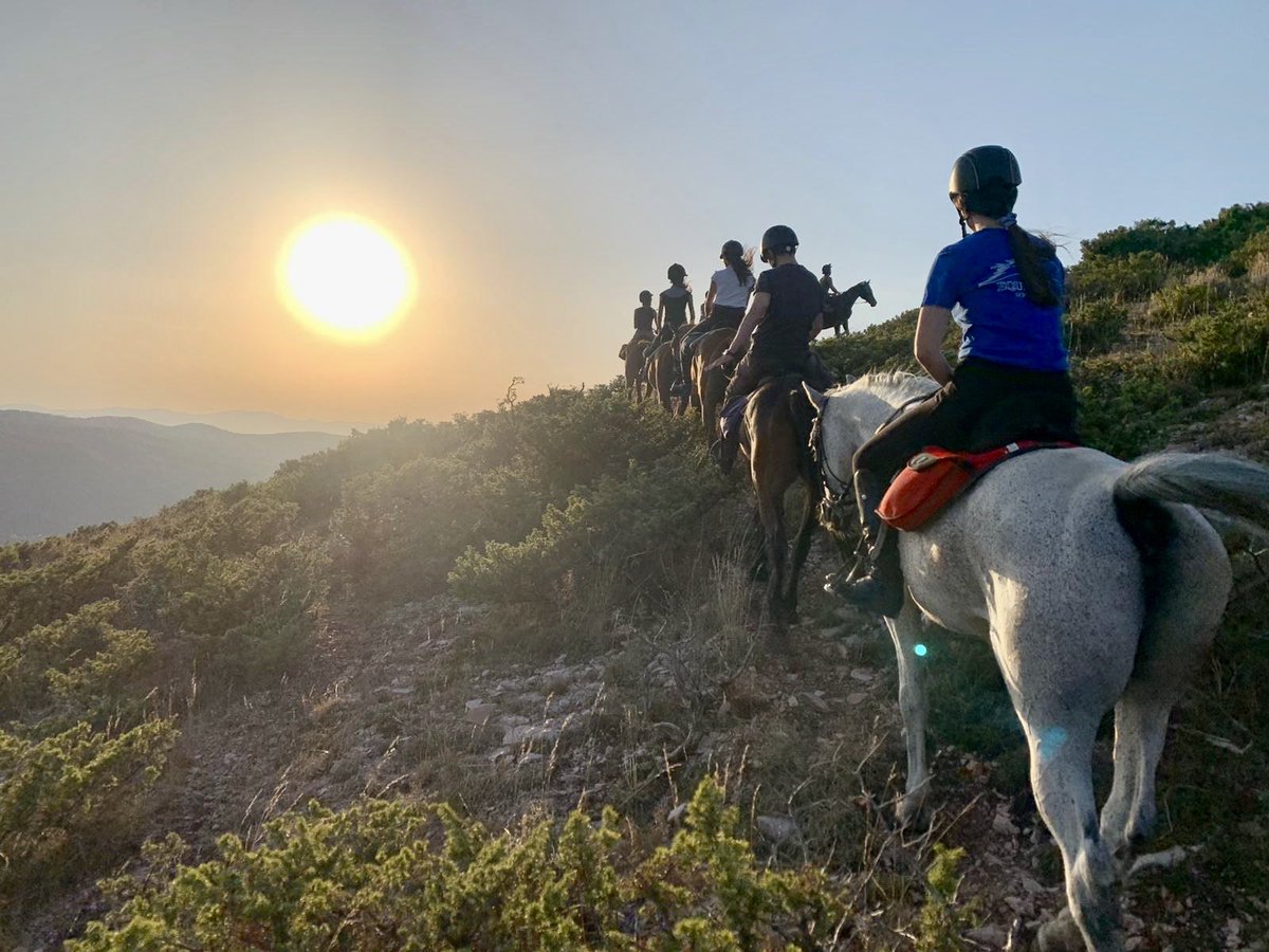 InfoLasomma's tweet photo. Here at La Somma, we are celebrating the New Year with an action-packed programme of horse-riding holidays for 2021!
 SHORT BREAK IN THE SADDLE:April 3-7;April 24-28; May 29-June 3; July 10-14;  26-30June;July24-28;August 7-11;August21-25;September 11-15;October 2-6;October 16-20 https://t.co/G7MBf90i35