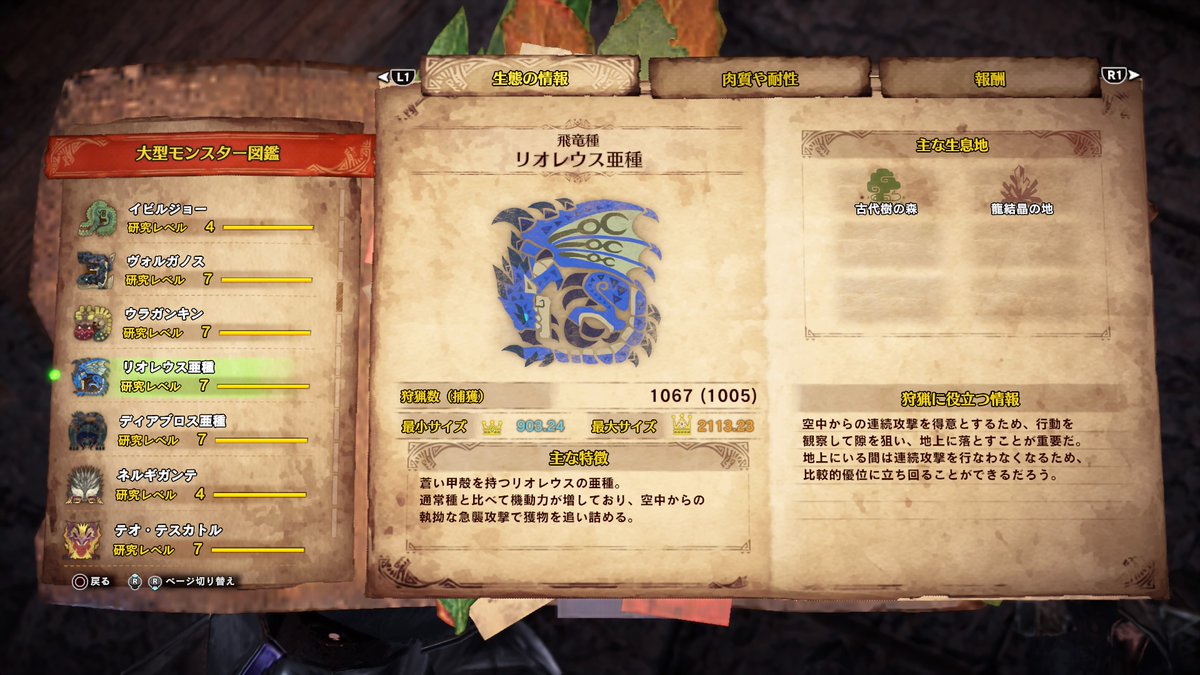 リオレウス亜種