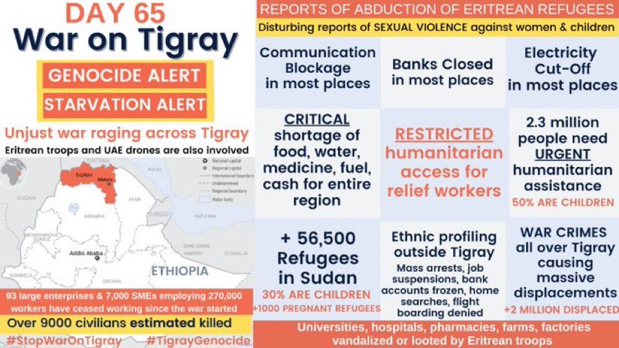 Today is Orthodox Christmas and usually we would call our grandma back home, but after 65 days I’m still not able to call. I still don’t know if she and the rest of my family are alive. <a href="/UNPeacekeeping/">UN Peacekeeping</a> <a href="/UN/">United Nations</a> please step in and help. #TigrayGenocide