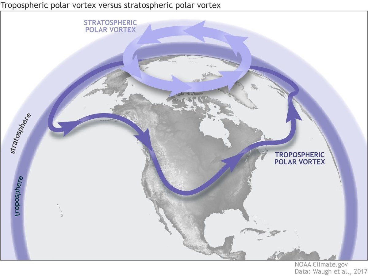 Note: the stratospheric polar vortex and tropospheric vortex are two different things. The tropospheric polar vortex is a normal atmospheric feature that affects our weather every winter. For the remainder of the thread, we'll focus on the stratospheric one. (3/8)