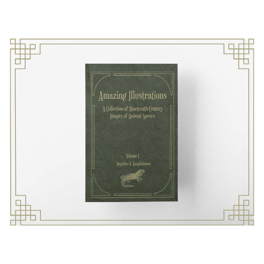 Lunfardo2's tweet photo. This #book provides the reader with a collection of illustrations of #reptiles and #amphibians. Said #illustrations are based on the perspective and knowledge that people had about them at the end of the 19th century.

https://t.co/HuzQjvGmWZ https://t.co/yRLYaYg9TA