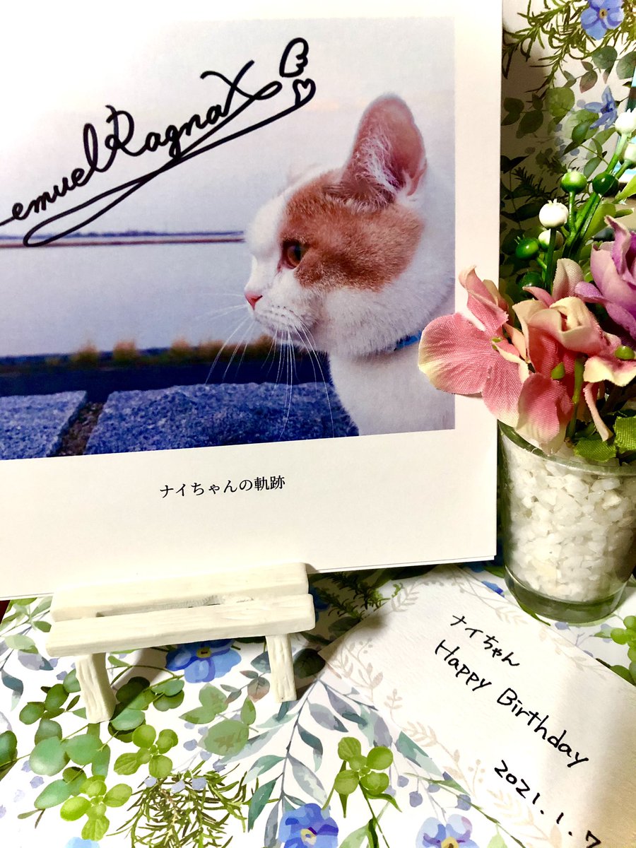 ise_musasabi's tweet photo. ナイちゃんの軌跡届いてました、ありがとうございます!報告が日を跨いでしまった、誕生日当日にお届けとはやりますね…
お猫様凛々しい面構えをしていらっしゃるな。
大事にさせて頂きます…誕生日おめでとう
#XFeder https://t.co/PLGCFY4ESF