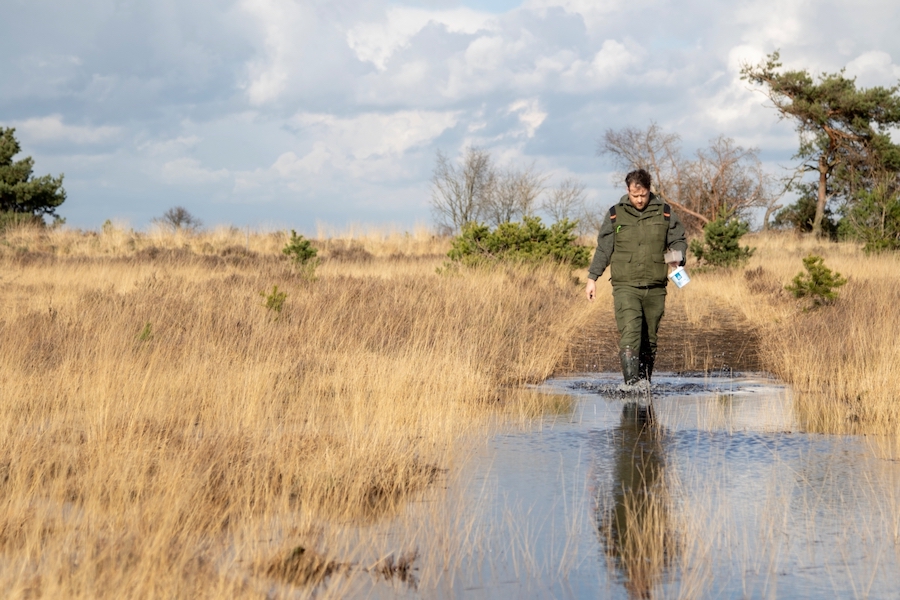 We hebben een #vacature voor een boswachter met specialisatie ecologie voor de natuurgebieden in Zuidoost-Brabant. staatsbosbeheer.nl/over-staatsbos…
