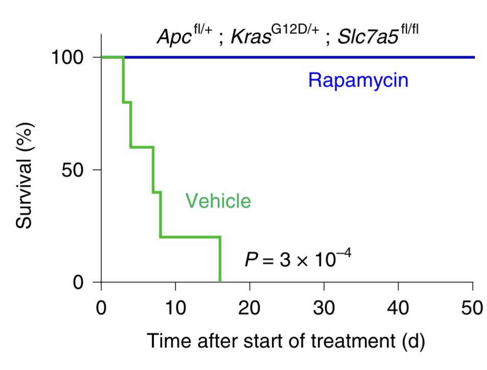 Importantly, losing  #Slc7a5 made cells sensitive to  #mTOR inhibition leading to reduced tumour cell proliferation, signalling and markedly improved survival.
