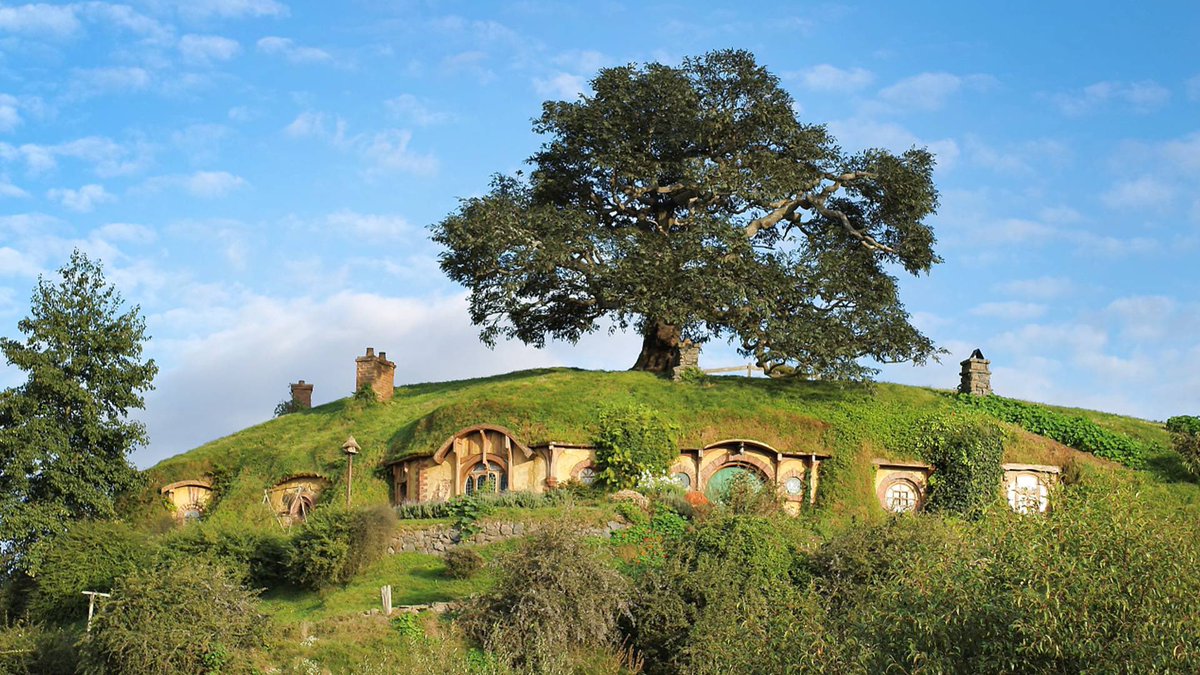 Hobbiton tree
