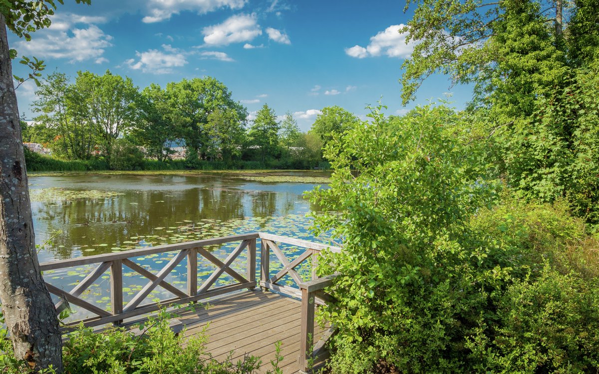 Are you on the hunt for a #newhome that offers plenty of #walkingroutes to explore? Then our Victory Fields development in #Berkshire could be the perfect choice - it is surrounded by 93 acres of #openspace. Call our sales team today to find out more. bit.ly/3aGKrHu