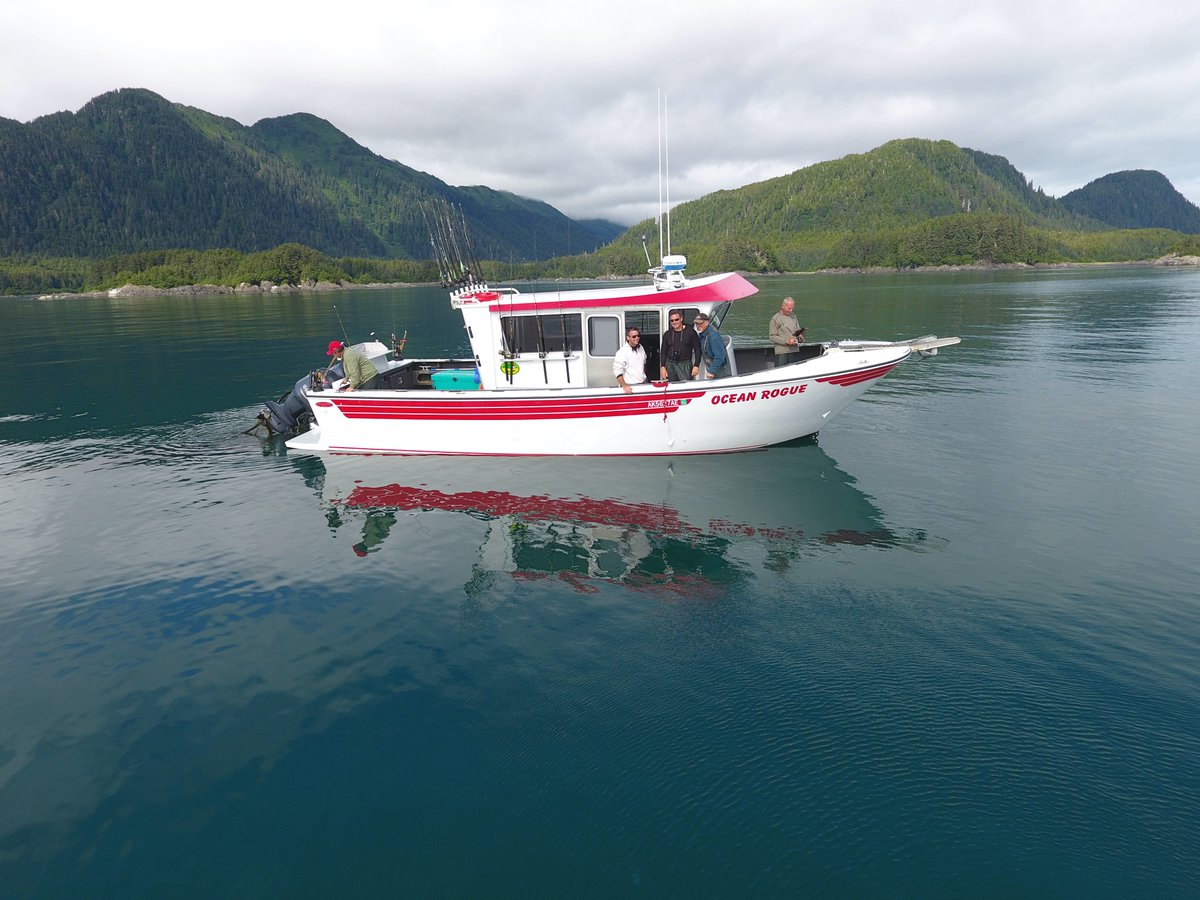 Tanaku Lodge (@tanakudm) on Twitter photo 