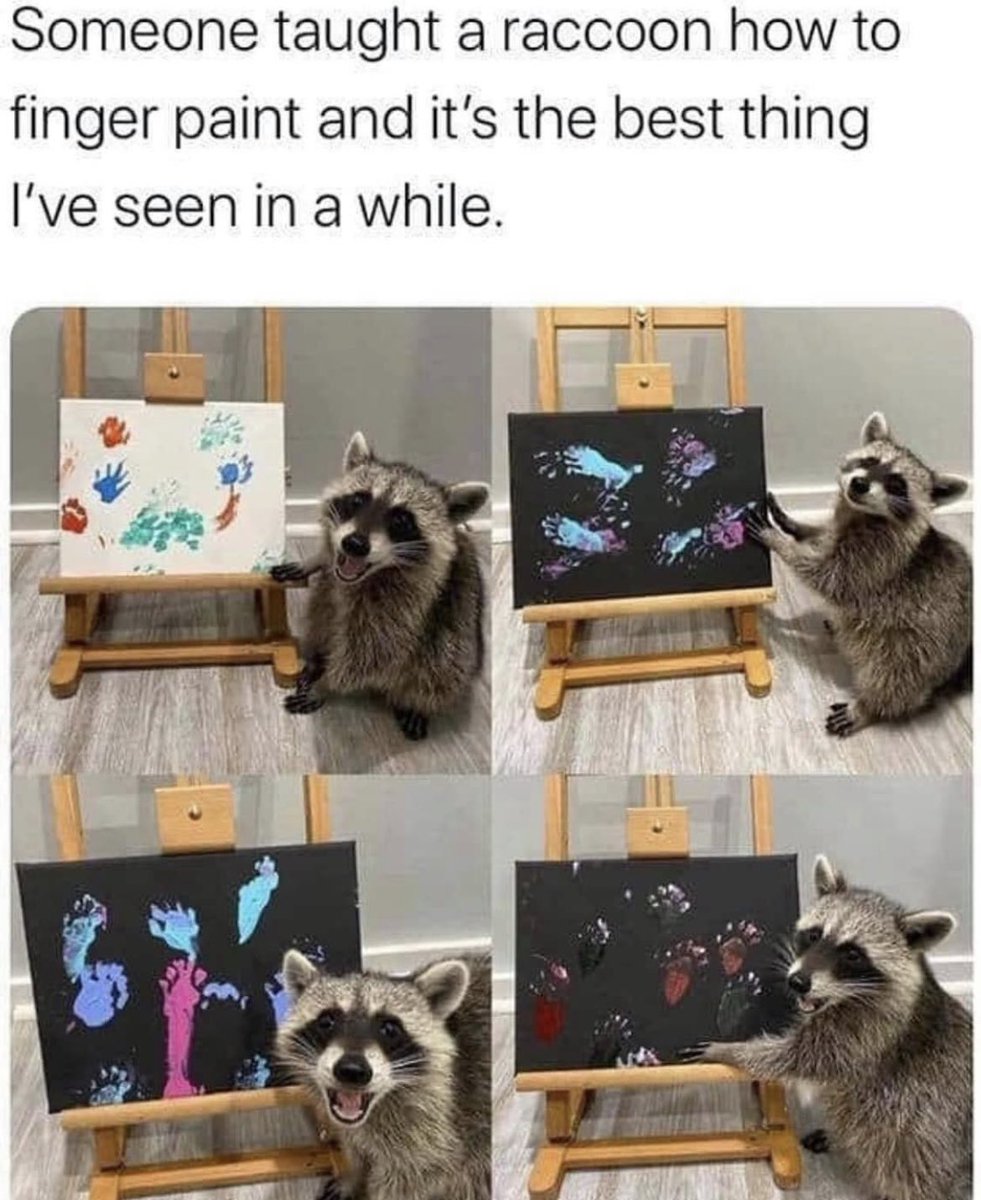 RespectfulMemes tweet picture