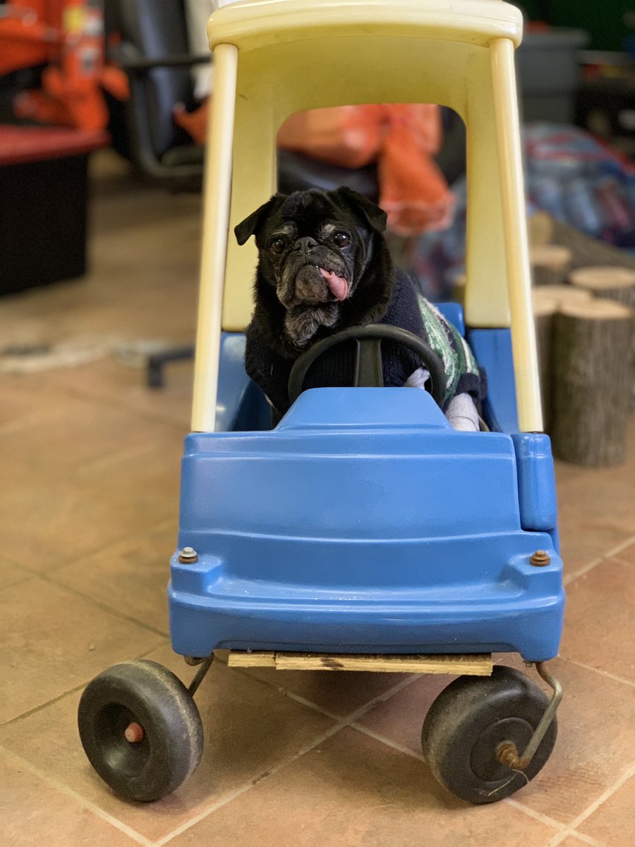 EdiethePug's tweet image. Gotta take the car into the shop 🚗

Seems I have some axel problems 
#WhatEverThatIs 🤷‍♀️

Know a good #mechanic 🧑‍🔧