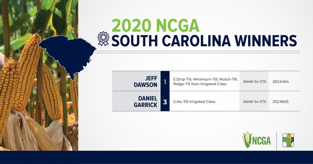 AgriGold's tweet photo. Big congratulations to #YieldMasters Jeff Dawson, of Beaufort, and Daniel Garrick, of Cope โ AgriGoldโs 2020 South Carolina @NationalCorn Yield Contest winners! In addition to securing 1st place, Jeff and his 263.5 yield set a new AgriGold Yield Contest state record in SC! https://t.co/XbsJZ9SWxE