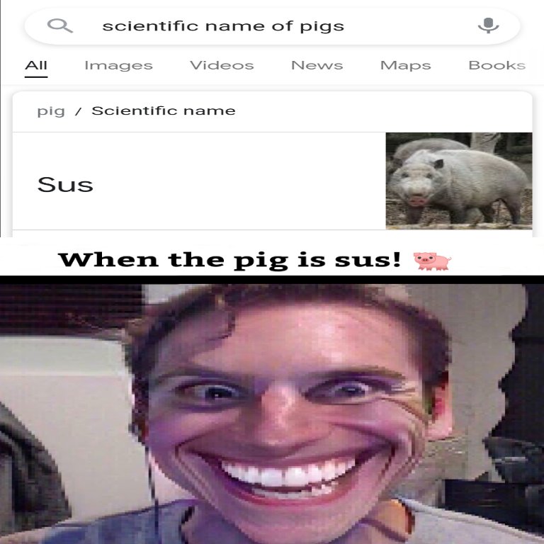 lime_hat's tweet image. 