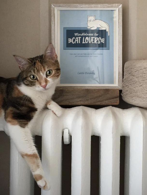 Delighted to announce the publication of my book ‘Mindfulness for Cat Lovers ‘ 8th January .Available in hardback , paperback and Ebook . Available from all good book shops including <a href="/Waterstones/">Waterstones</a> . #cats #Wellbeing #MentalHealthMatters <a href="/AustinMacauley/">Austin Macauley</a> @Vets4PetsGroup