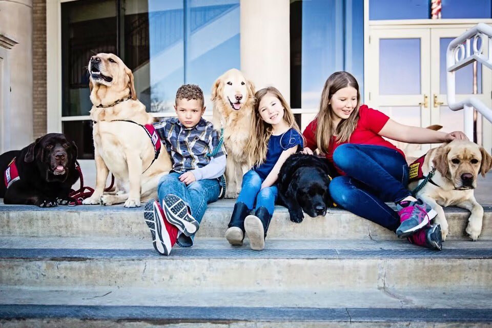 Meet our Courthouse Facility Dogs: Ben, Henry, Emma, Zia and Oliver!  Their work with traumatized children is humbling and powerful.