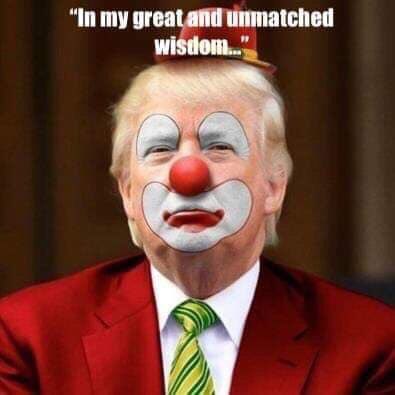 VsDemocracy's tweet photo. @Omega_Manx They should @realDonaldTrump is #braindead and still has access to the #Nuclearcode https://t.co/J1bV0upDXa