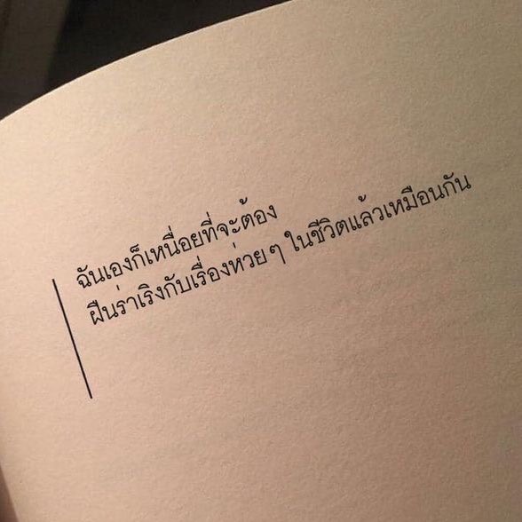 ⌗ 𝗯𝗲 𝘆𝗼𝘂𝗿 𝗵𝗼𝗺𝗲 🏠🪴 (@biyohome) on Twitter photo 