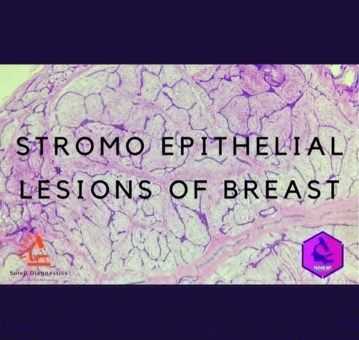 Pathology Student Forum tweet media
