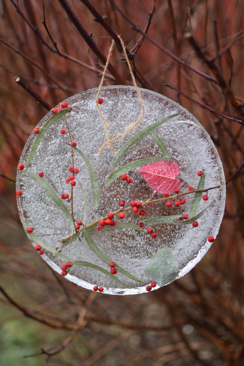 Ice decorations ❄️🌿

#icedecorations #natureactivities #mudandbloom