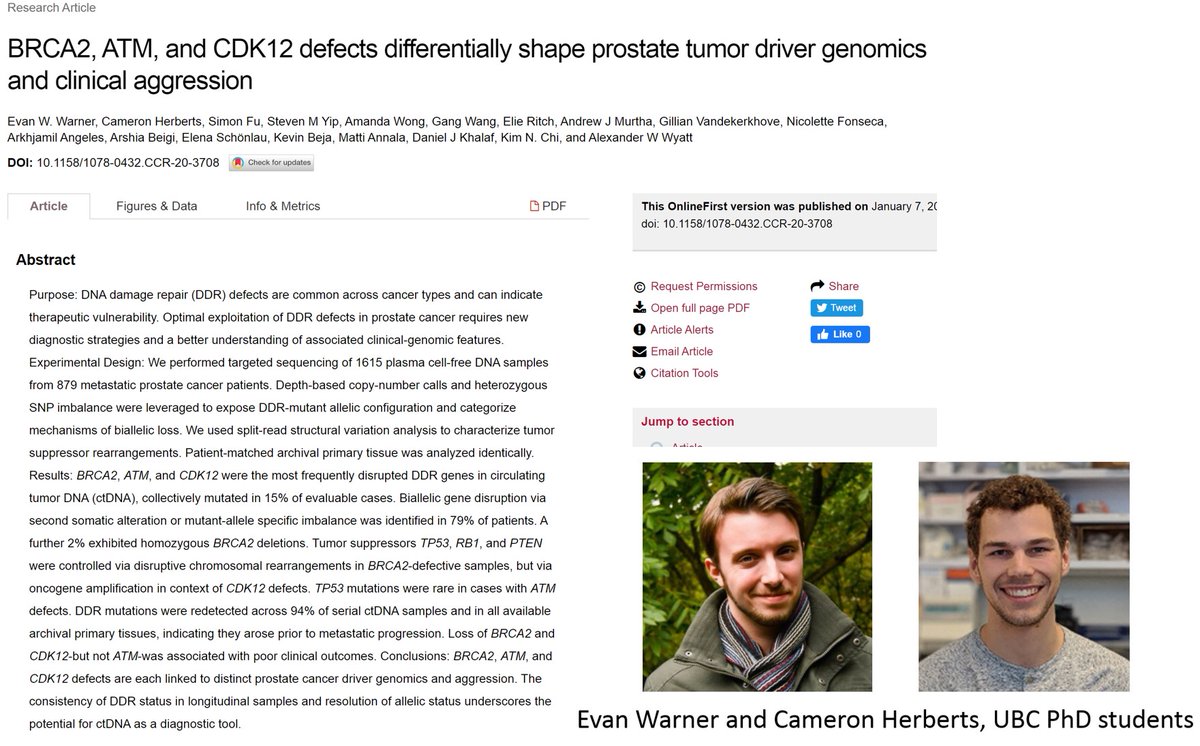 Alex Wyatt (@researchwyatt) on Twitter photo Our latest on clinical-genomic features of BRCA2, ATM, CDK12 defects in met PCa. All using ctDNA β implications for clinical roll-out! Mammoth lift from <a href="/UBC/">University of British Columbia</a> PhD students <a href="/ewarner_ubc/">Evan Warner</a> @cherberts1 and team <a href="/VanProstateCtr/">Vancouver Prostate Centre</a> and beyond. Online <a href="/CCR_AACR/">Clinical Cancer Research</a>: bit.ly/3s23GDC 1/5 Our latest on clinical-genomic features of BRCA2, ATM, CDK12 defects in met PCa. All using ctDNA β implications for clinical roll-out! Mammoth lift from <a href="/UBC/">University of British Columbia</a> PhD students <a href="/ewarner_ubc/">Evan Warner</a> @cherberts1 and team <a href="/VanProstateCtr/">Vancouver Prostate Centre</a> and beyond. Online <a href="/CCR_AACR/">Clinical Cancer Research</a>: bit.ly/3s23GDC 1/5