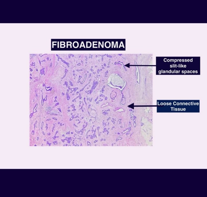 Pathology Student Forum tweet media