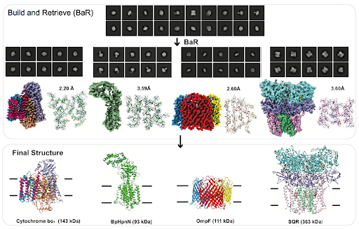 naturemethods's tweet photo. The iterative “Build and Retrieve” (BaR) methodology from Edward Yu from @CWRUSOM and colleagues facilitates solving cryo-EM structures of multiple membrane (and soluble) proteins simultaneously. https://t.co/kxTD7y9c5u https://t.co/49XmqBl97j